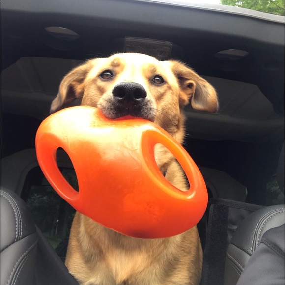 Closing closet! Make offers. Posh Ambassador! - Picture 4 of 5